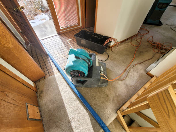 Best Emergency water extraction  in Bigfork, MT
