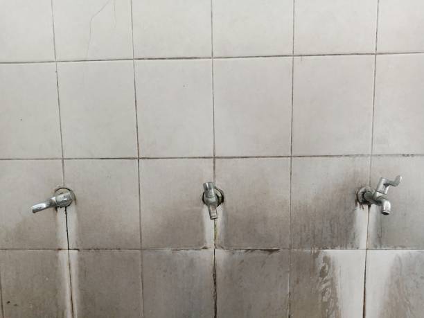 Best Flooded house restoration  in Bigfork, MT