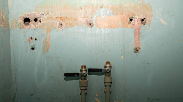 Best Residential water damage restoration  in Bigfork, MT