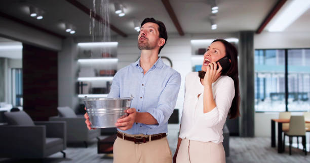 Best Flood restoration services  in Bigfork, MT