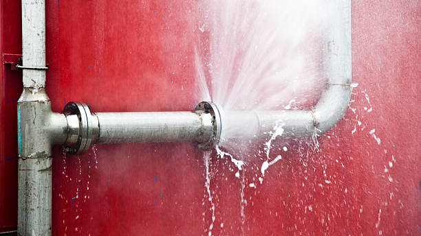  Bigfork, MT Water damage restoration Pros